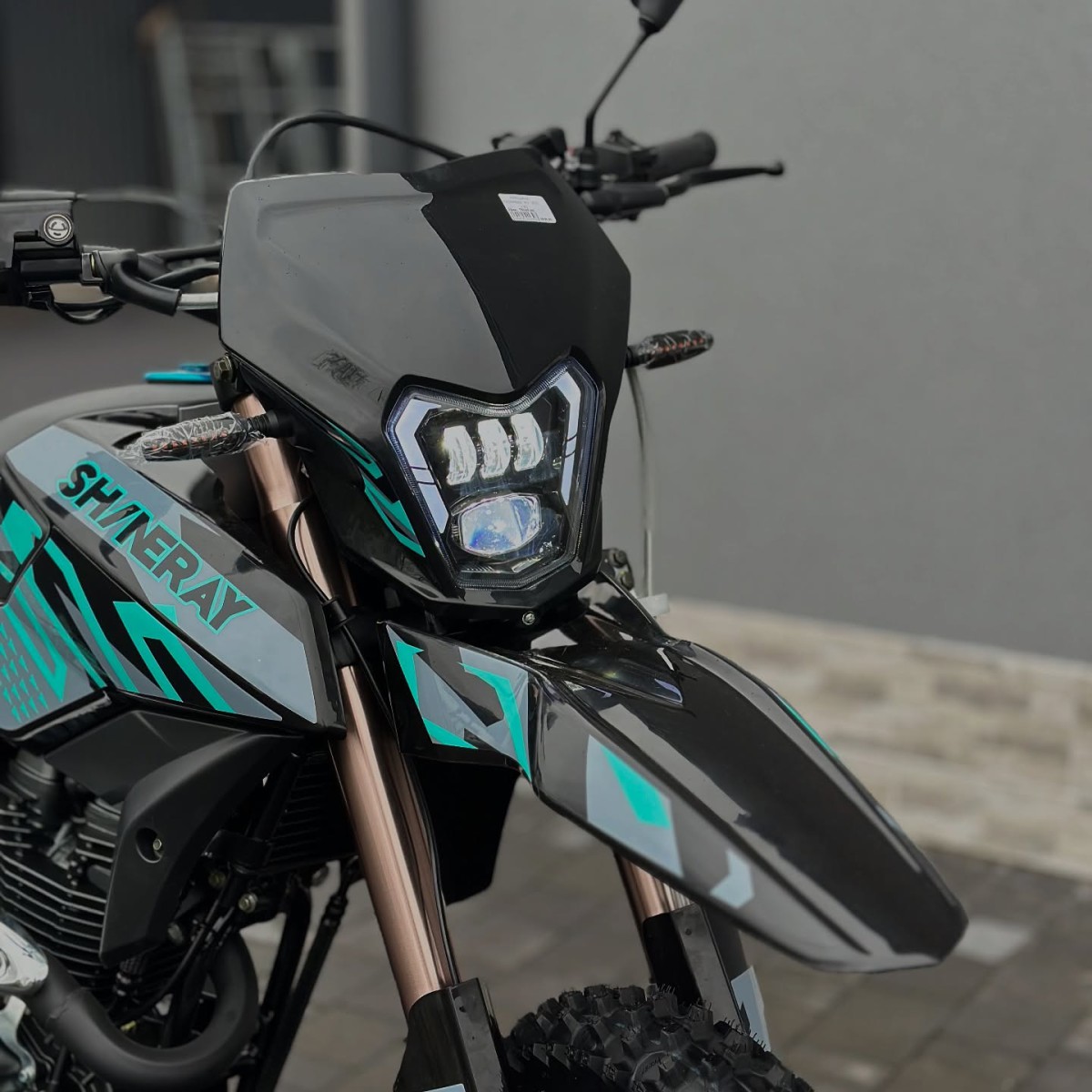 Shineray CXR250 фото 7